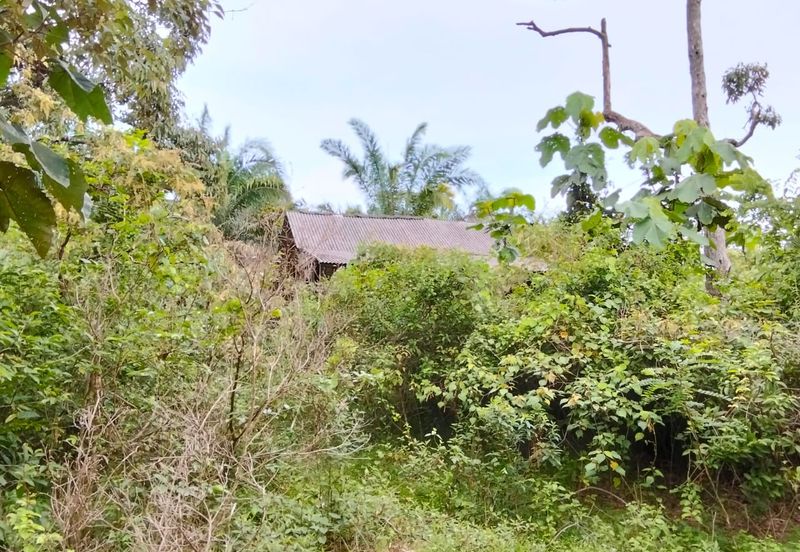 Freehold Agricultural Land Paya Rumput MELAKA Tengah.