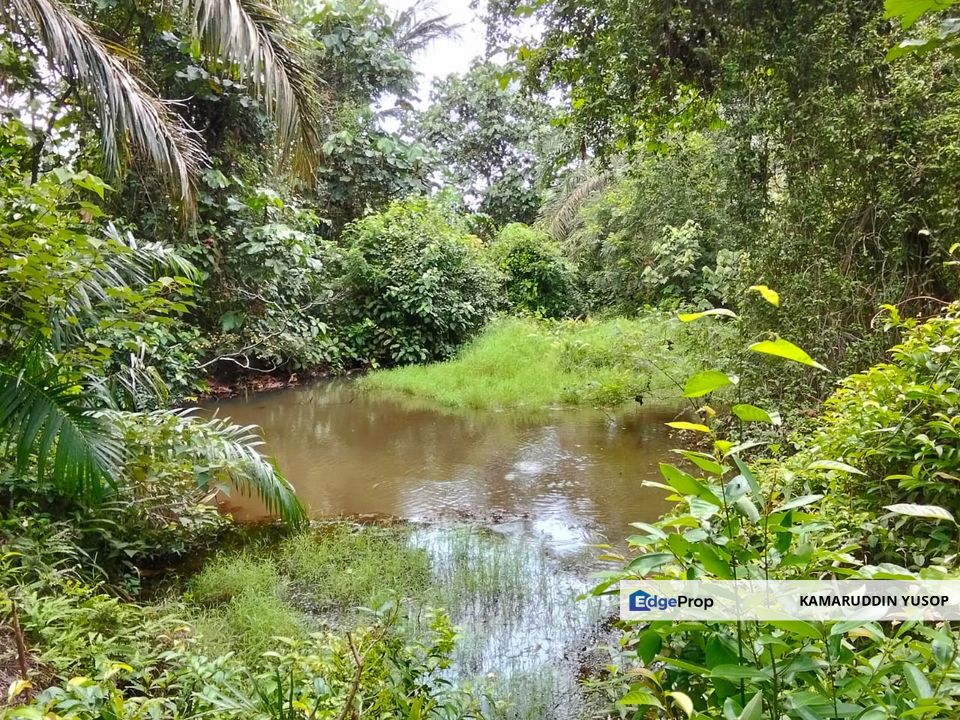 Freehold Agricultural Land Paya Rumput MELAKA Tengah., Melaka, Melaka Tengah