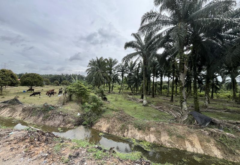Bandar Baru Salak Tinggi