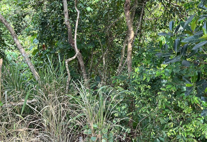 Bandar Baru Salak Tinggi