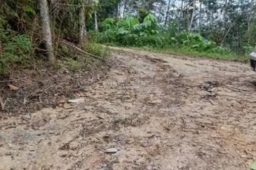 Tanah Pertanian 2.95 ekar Rizab Melayu dekat UiTM REMBAU N.Sembilan