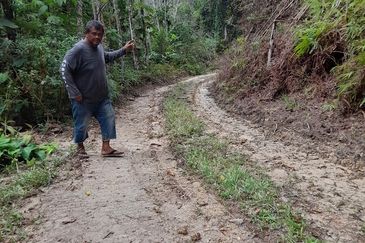 Tanah Pertanian 2.95 ekar Rizab Melayu dekat UiTM REMBAU N.Sembilan