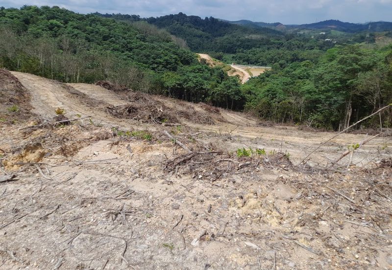 Tanah Pertanian 2.95 ekar Rizab Melayu dekat UiTM REMBAU N.Sembilan