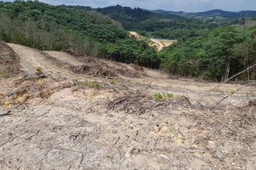 Tanah Pertanian 2.95 ekar Rizab Melayu dekat UiTM REMBAU N.Sembilan