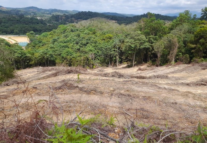 Tanah Pertanian 2.95 ekar Rizab Melayu dekat UiTM REMBAU N.Sembilan
