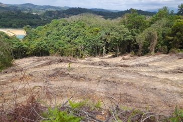 Tanah Pertanian 2.95 ekar Rizab Melayu dekat UiTM REMBAU N.Sembilan