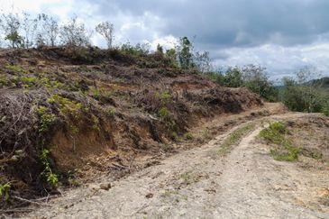 Tanah Pertanian 2.95 ekar Rizab Melayu dekat UiTM REMBAU N.Sembilan