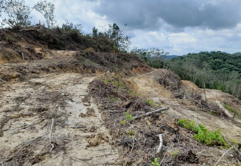 Tanah Pertanian 2.95 ekar Rizab Melayu dekat UiTM REMBAU N.Sembilan