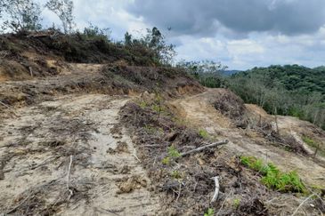 Tanah Pertanian 2.95 ekar Rizab Melayu dekat UiTM REMBAU N.Sembilan