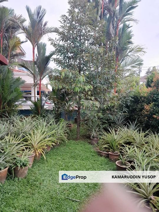 2-sty Freehold bungalow Saujana Akasia Sg Buloh , Selangor, Sungai Buloh