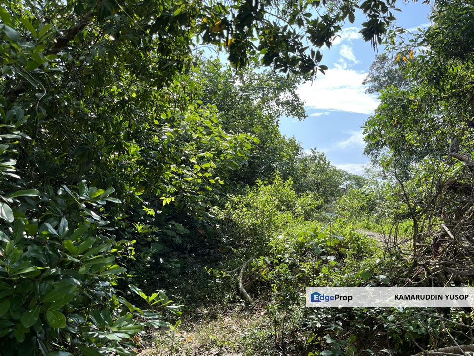 TANAH 1 ekar depan SUNGAI CHERATING 5km dr CLUB MED CHERATING KUANTAN, Pahang, Balok