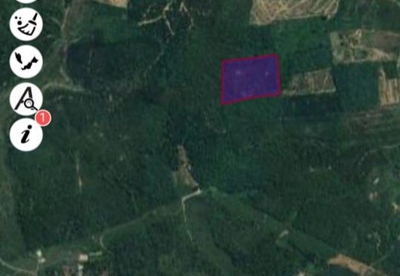 Tanah Pertanian 8 ekar 10 min dari TOLL TEMERLOH Freehold Rezab Melayu