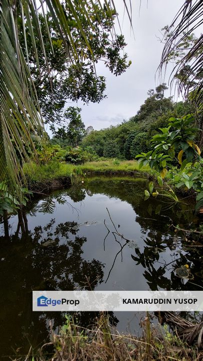 Banglo separa siap beserta kebun buahan 2 ekar di Changkat Tin, Tanjung
Tualang, Perak, Perak, Kinta