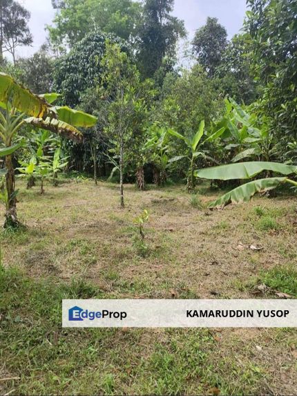 Tanah kebun sesuai Tapak Rekreasi Di Hulu Rening Batang Kali untuk dijual
, Selangor, Hulu Selangor