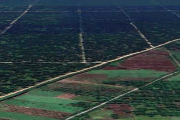 Tanah Pertanian 3 ekar dekat KLIA Rancangan Tanah Sg Blankan Sepang

