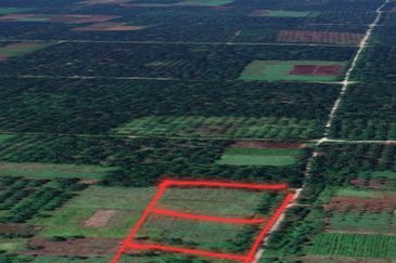 Tanah Pertanian 3 ekar dekat KLIA Rancangan Tanah Sg Blankan Sepang

