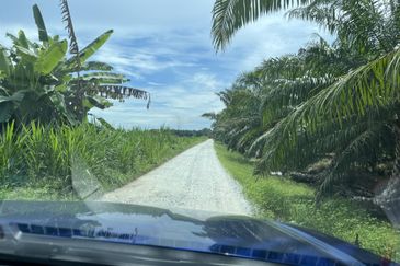 Tanah Pertanian 3 ekar dekat KLIA Rancangan Tanah Sg Blankan Sepang

