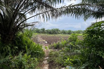 Tanah Pertanian 3 ekar dekat KLIA Rancangan Tanah Sg Blankan Sepang

