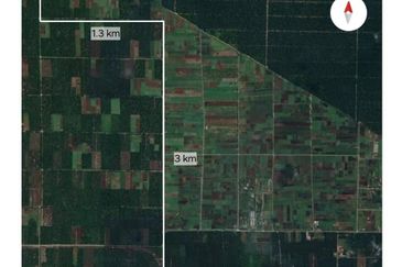 Tanah Pertanian 3 ekar dekat KLIA Rancangan Tanah Sg Blankan Sepang

