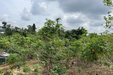 Bandar Baru Salak Tinggi