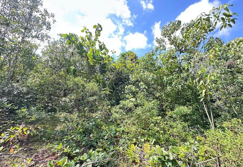 Tanah Pertanian 8 ekar 10 min dari TOLL TEMERLOH Freehold Rezab Melayu