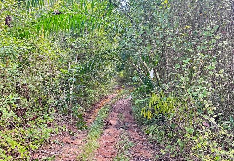 Tanah Pertanian 8 ekar 10 min dari TOLL TEMERLOH Freehold Rezab Melayu