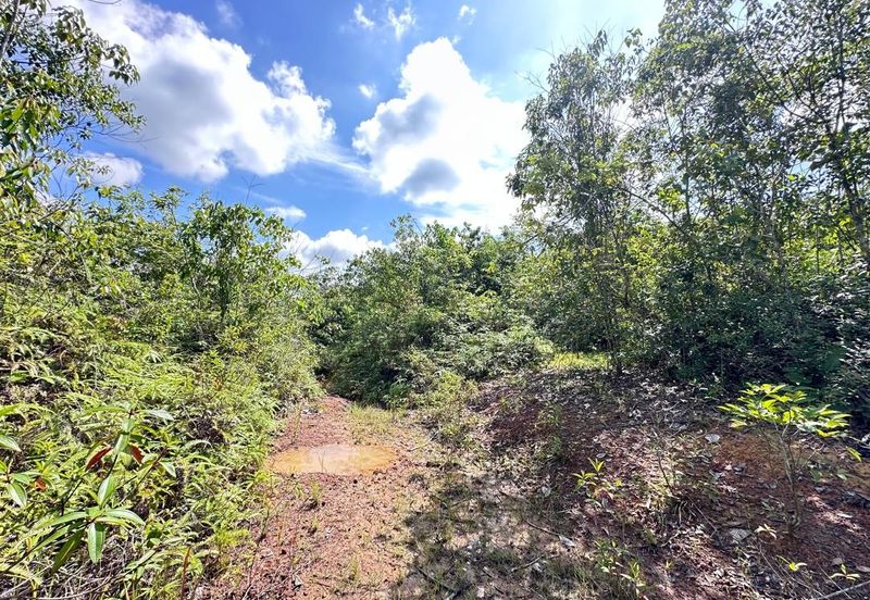 Tanah Pertanian 8 ekar 10 min dari TOLL TEMERLOH Freehold Rezab Melayu