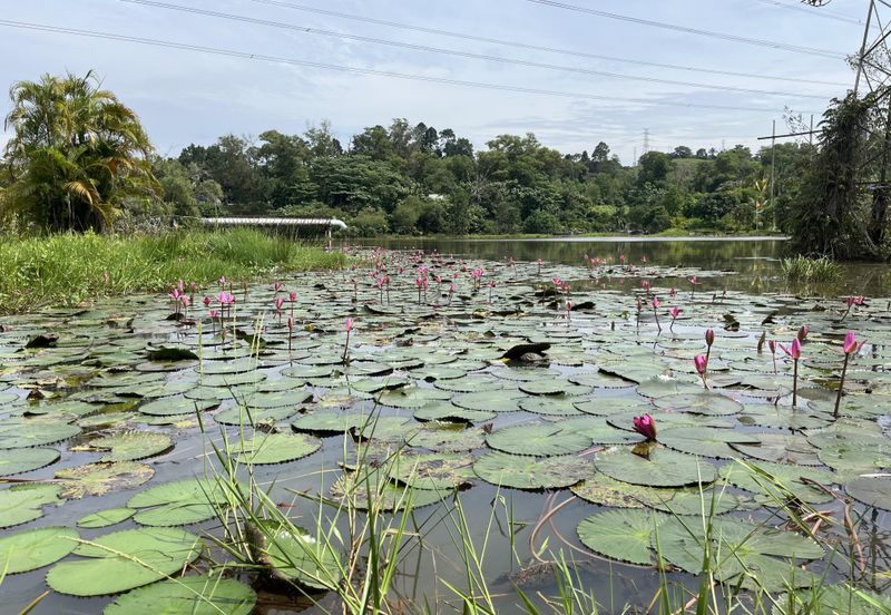 Seksyen 8, Shah Alam