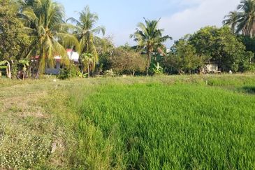 Seberang Perai Utama