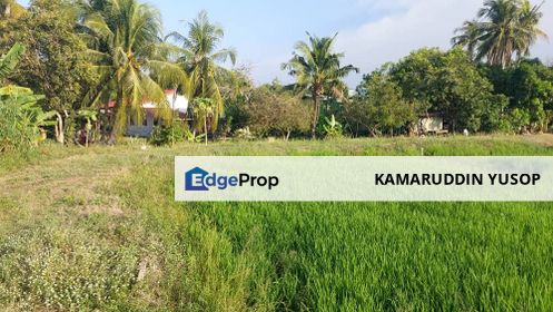 FREEHOLD Tanah Sawah Padi 1.89 ekar dekat Jalan Besar Pekan Darat, Butterworth, PULAU PINANG , Penang, Penaga