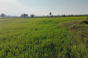 Seberang Perai Utama