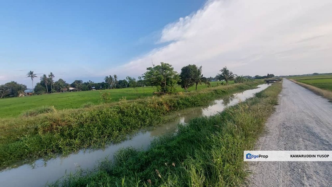 FREEHOLD Tanah Sawah Padi 1.89 ekar dekat Jalan Besar Pekan Darat, Butterworth, PULAU PINANG , Penang, Penaga