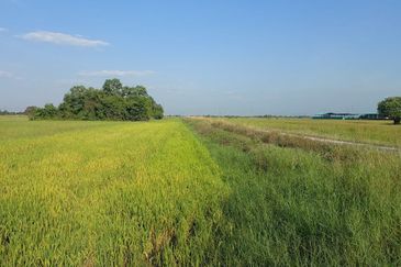 Seberang Perai Utama