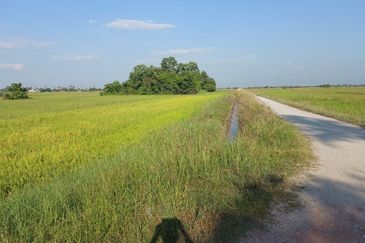 Seberang Perai Utama
