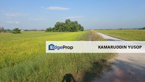 FREEHOLD Agriculture Land 1.12 acre near Main Road Pekan Darat, Butterworth, PULAU PINANG, Penang, Penaga