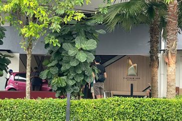 Platinum OUG Residence