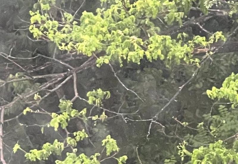 Taman Bukit Mutiara Apartment