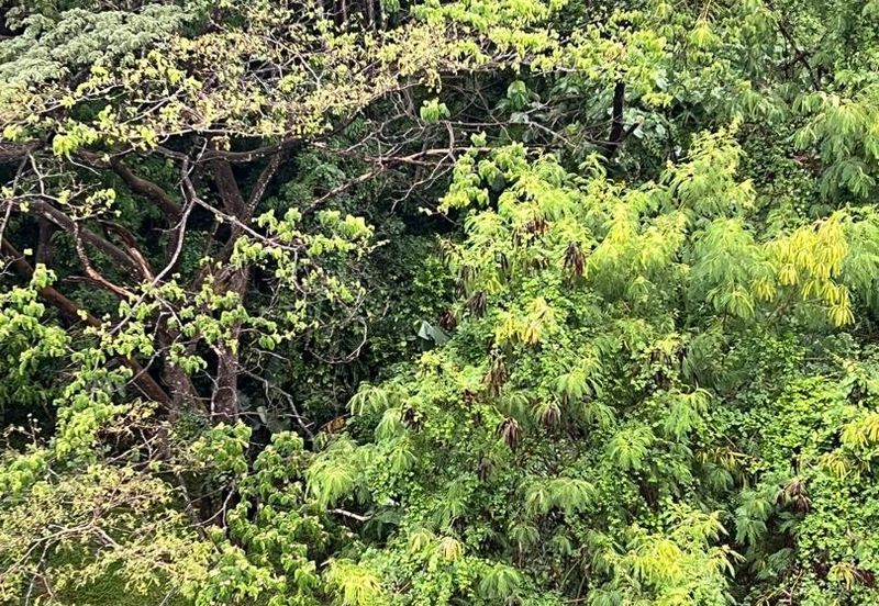 Taman Bukit Mutiara Apartment