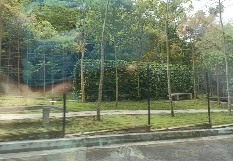 Damansara Foresta