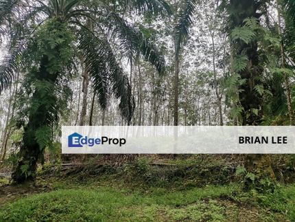 Sungkai, Perak 10.4 Acre Agriculture Land, Perak, Sungkai
