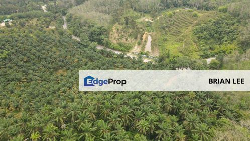 22.556 Acre Agriculture Land Sungai Bakau, Selangor, Rawang