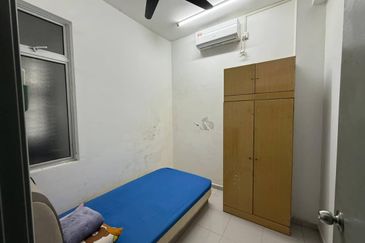 The Rainforest @ Eco Tropics