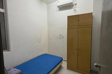 The Rainforest @ Eco Tropics