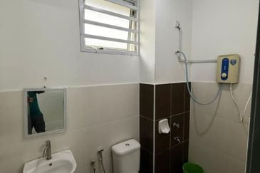 The Rainforest @ Eco Tropics