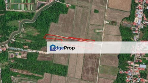 2 Parcels of First-Grade Agriculture Land in Kampung Sungai Burung, Balik Pulau, Penang, Balik Pulau