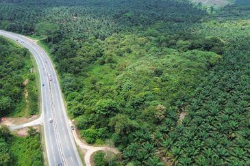 LAND 8.62 ACRES AT FEDERAL ROAD JB - KOTA TINGGI