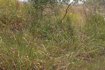Saujana Teknologi Park