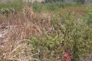 Saujana Teknologi Park