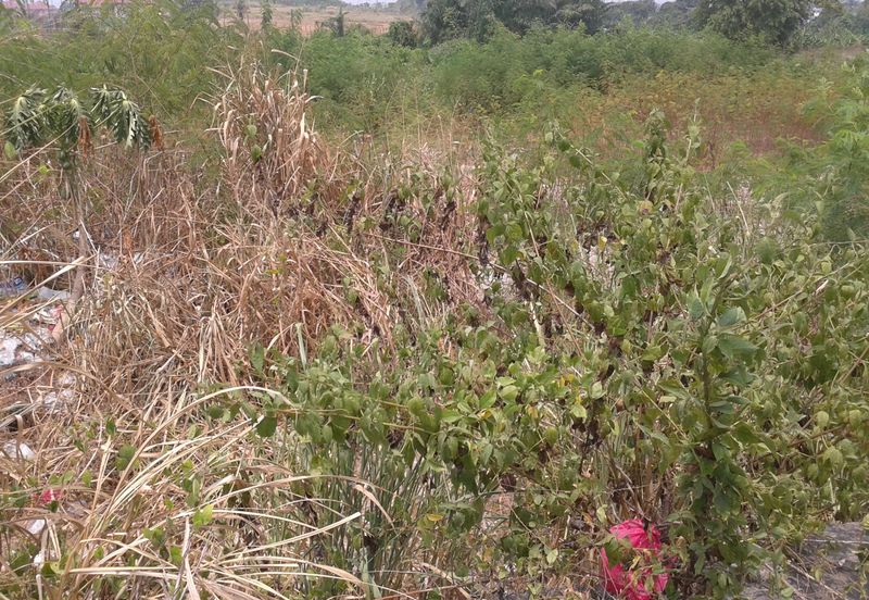 Saujana Teknologi Park