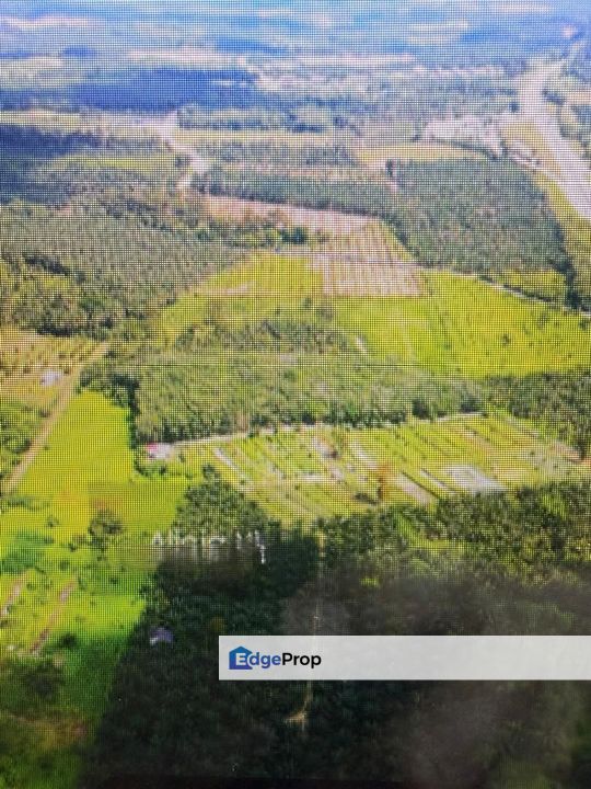 Simpang Renggam, , Johor, Simpang Renggam